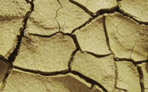 �����ֹ��Į���͸ɺ��գ����o(h��)�h(hu��n)�����h��