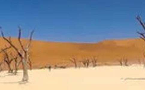 西南干旱的感悟作文