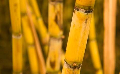 �����ζ��ӛ����ζ��С�W(xu��)����