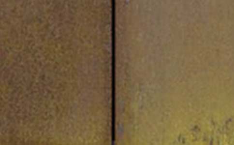 【熱】把心建造成鋼鐵長城作文