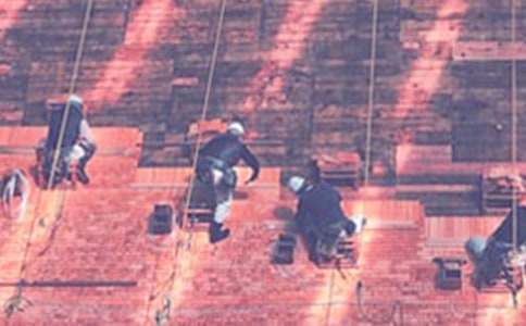 ���^�����ĵ��w��