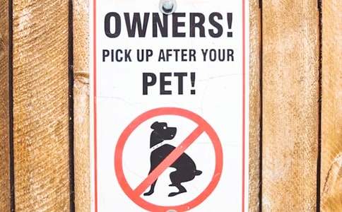 2015年海關(guān)總署第15號公告「最新」