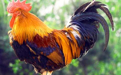 �P�ڹ��u��ͯԒ��������