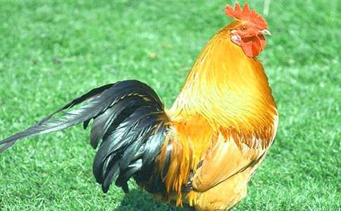 ���u��ĸ�uͯԒ����2ƪ