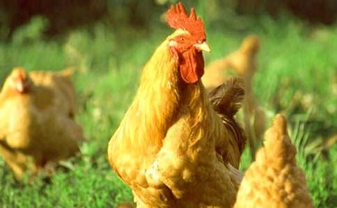 ���Ĺ��uͯԒ���ĺϼ�5ƪ