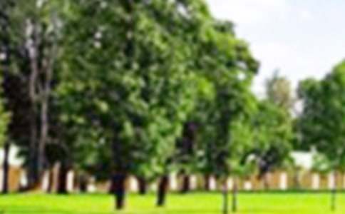 ���B�Ǻ����@����300��