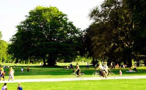 С�W�����@һ�ǡ����D��Ԓ����