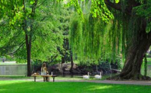 ��ˮɽ���@���꼉��������