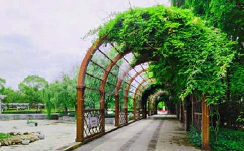 ���P(gu��n)��ƽ���@������ƪ