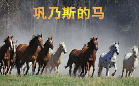 �����˹���R���x�������500��