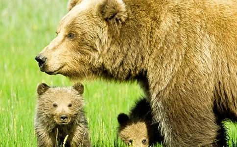 ���ܷN�ص�ͯԒ����