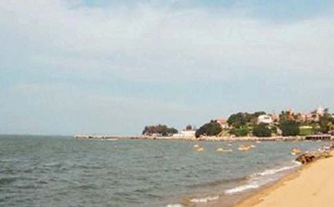 ���ˎZ����600�֣�ͨ��41ƪ��