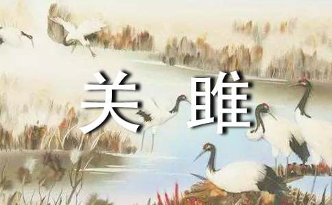 �Č��P������