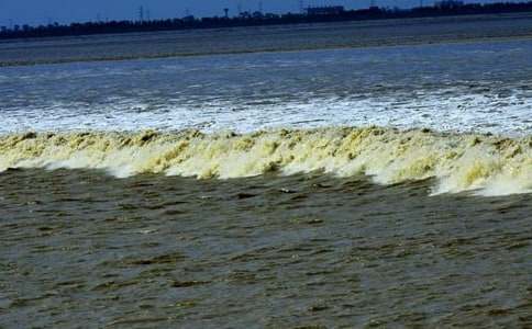 �^���ĸČ�����