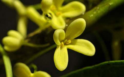 �𻨘��������飨ͨ��52ƪ��