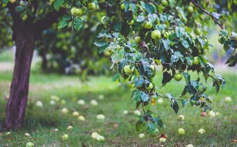 ���ݡ����@�����~�Z