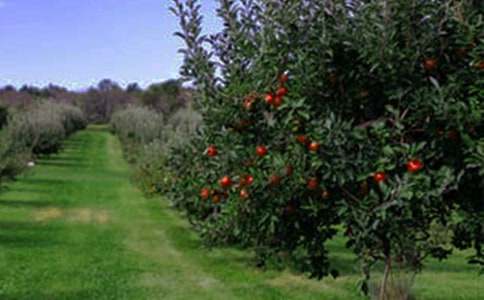 �����x�����@����400��44ƪ