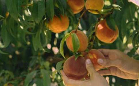 �ҵĹ��@����