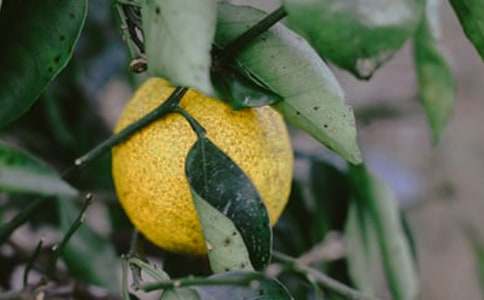 ���@����600�֣����x41ƪ��