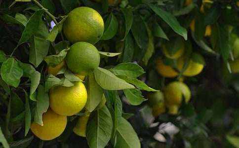 �����Ĺ��@����300�֣�ͨ��55ƪ��