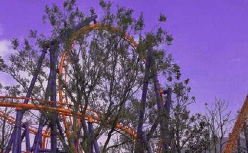 第一次坐過(guò)山車作文600字