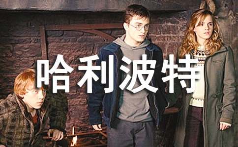 ���������ء��x���Pӛ800��