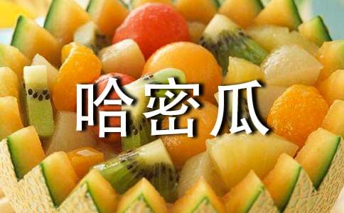 �P(gu��n)�ڹ��ܹϵ�����