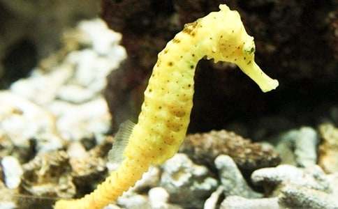 ͯԒ���£����R�ְ�