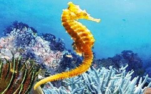 �Ї�ͯԒ���£����R�ְ�