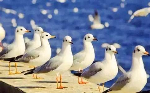 �^���е�С���t��������