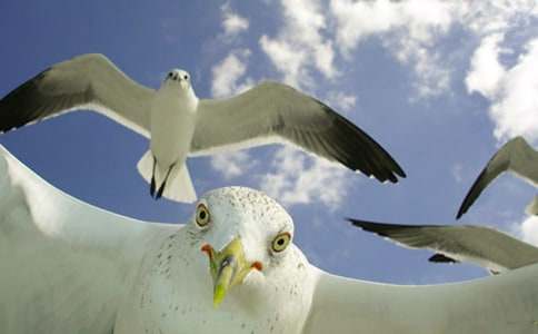 ���ɵĺ��t���ģ����x25ƪ��