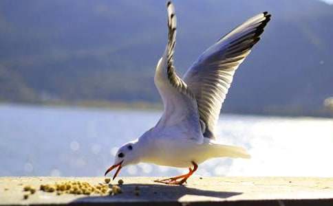 ���t�������k������450��