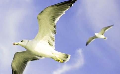 �L���е���ֻ���t����900��