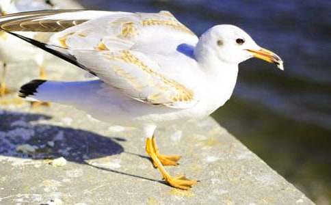 ���t������Ԣ�Թ���