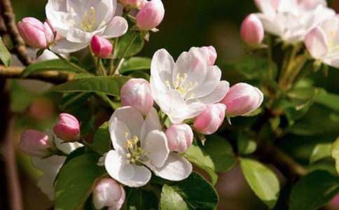 ӛ����̎�Ļ�������