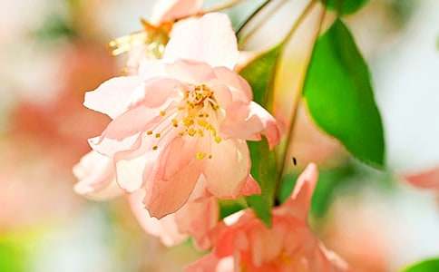 ����һ�꺣�Ļ��_�r�W(xu��)�����Z��ͨ��17ƪ��