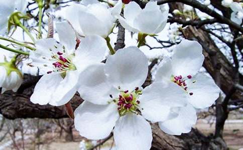 ӛ���еĺ�������