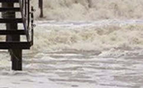 ���[�c��������