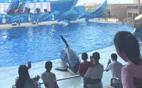 �δ��B���󹫈@���ģ����x3ƪ��