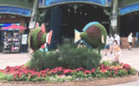 ���B���󹫈@����