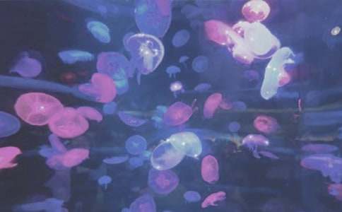 �δ��B�ϻ������󹫈@����