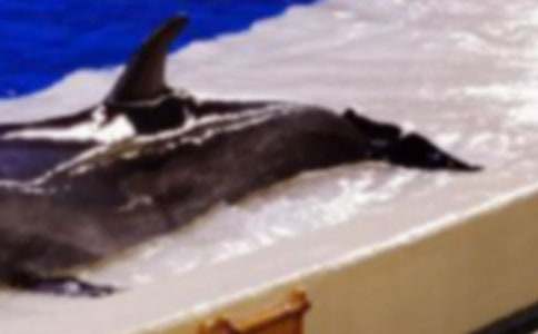 ӛ���еĺ�������