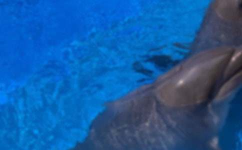 ��������һֻ�������ģ����x6ƪ��