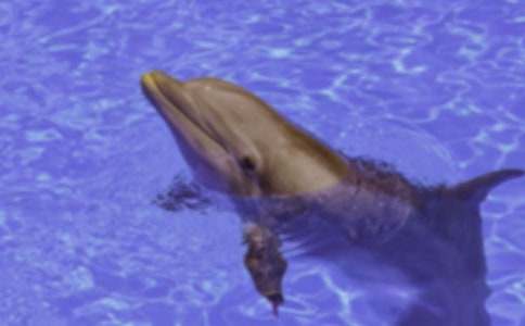 �P(gu��n)�ں����ͯԒ���£�ͨ��9ƪ��