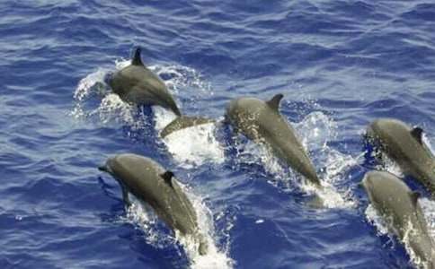 ���ĺ���400�����ģ����x27ƪ��