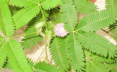 �^�캬�߲�����100�֣�ͨ��38ƪ��