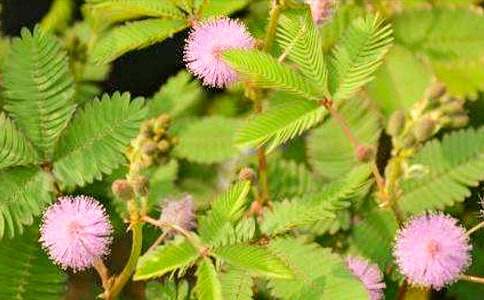 ���߲�(���P(gu��n)�ԏ�(qi��ng)���^�졢�������������)