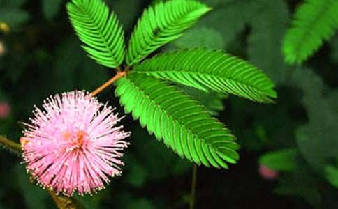 ���߲��^����ӛ400������