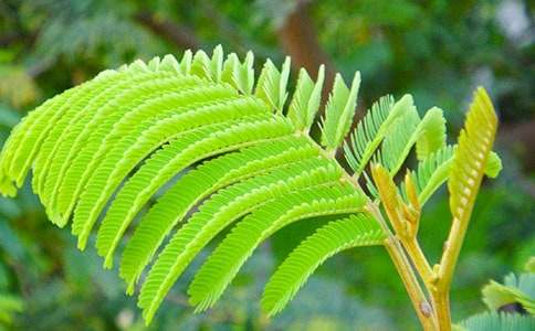 �^�캬�߲����ģ����x30ƪ��