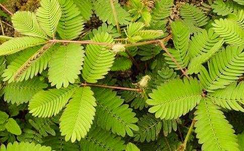 �β�ס�ĺ��߲�ͯԒ��������600�֣����x31ƪ��